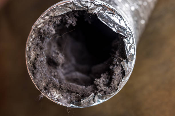 Best HVAC Duct Inspection Services  in South Kensington, MD